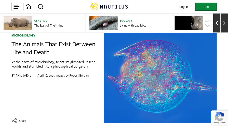 Screenshot of nautil.us: The Animals That Exist Between Life and Death