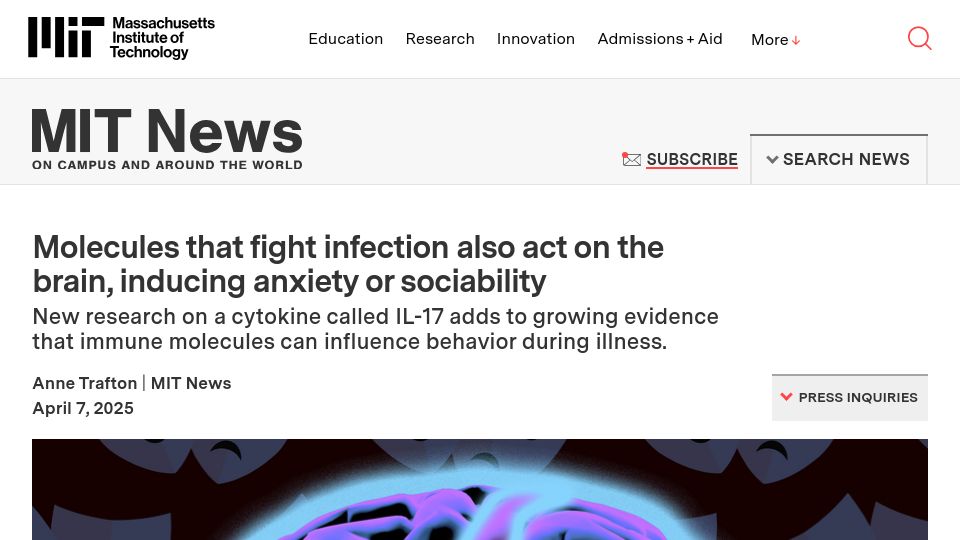 Screenshot of news.mit.edu: Molecules that fight infection also act on the brain
