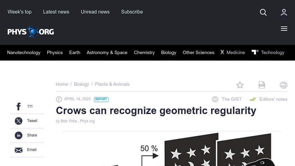 Screenshot of phys.org: Crows can recognize geometric regularity