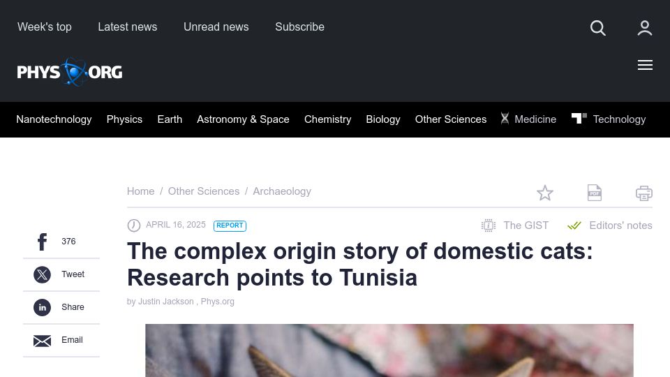 Screenshot of phys.org: The complex origin story of domestic cats