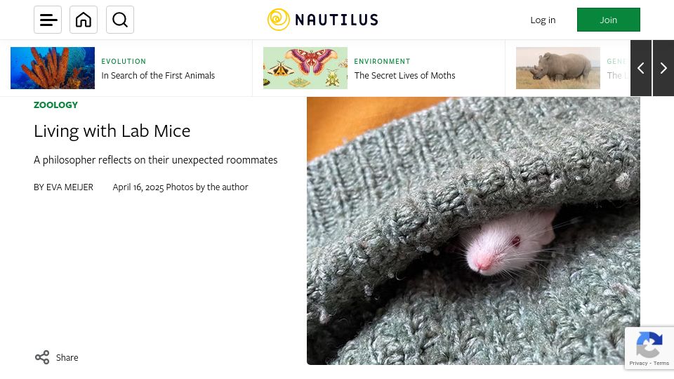 Screenshot of nautil.us: Living with Lab Mice