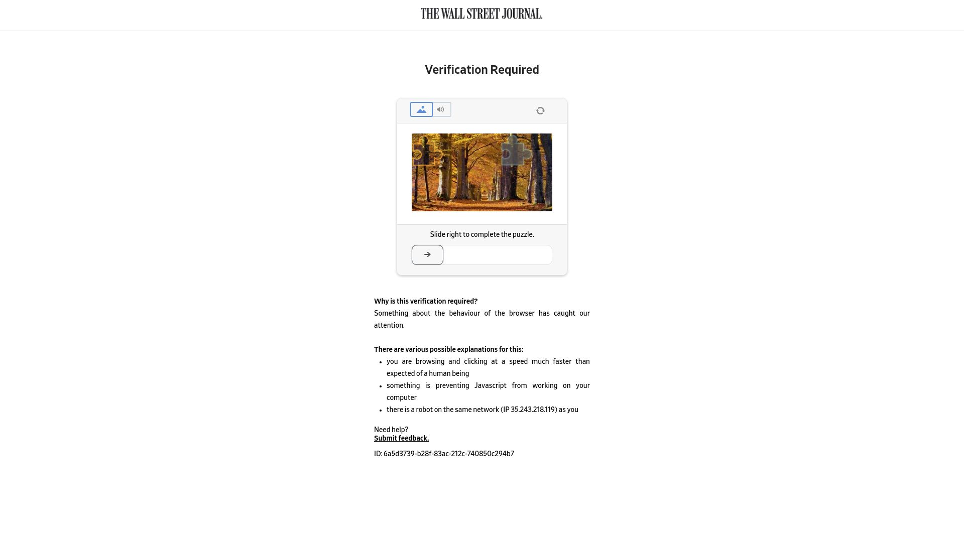 Screenshot of wsj.com: Suicide Reverberates Among Young Doctors