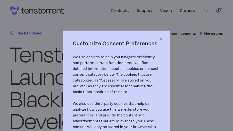 Screenshot of tenstorrent.com: Tenstorrent Launches Blackhole Developer Products at Tenstorrent Dev Day