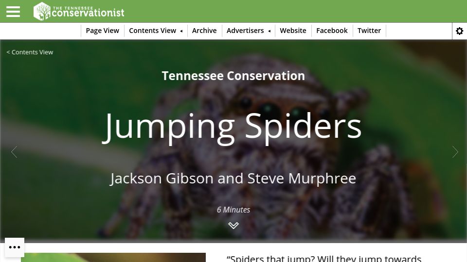 Screenshot of digital.tnconservationist.org: Jumping Spiders