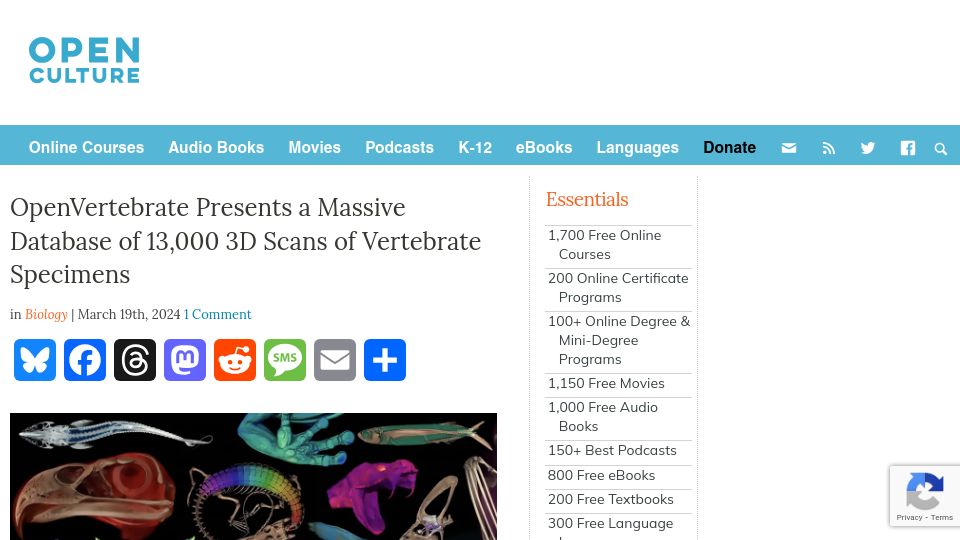 Screenshot of openculture.com: OpenVertebrate Presents a Database of 13K 3D Scans of Specimens