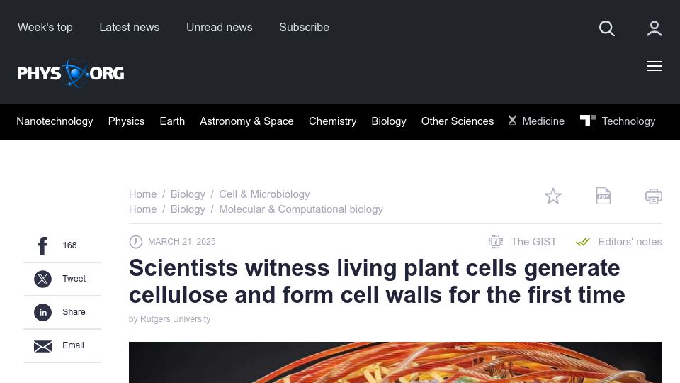 Screenshot of phys.org: Scientists witness living plant cells generate cellulose and form cell walls