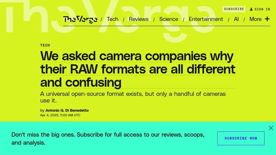 Screenshot of theverge.com: We asked camera companies why their RAW formats are all different and confusing
