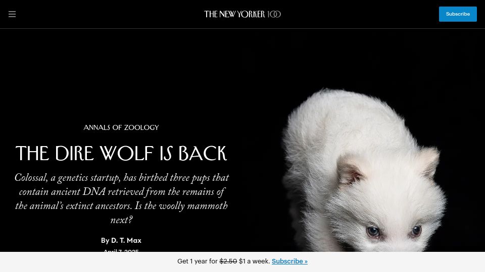 Screenshot of newyorker.com: The Dire Wolf Is Back