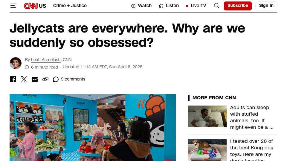 Screenshot of cnn.com: Jellycats are everywhere. Why are we suddenly so obsessed?