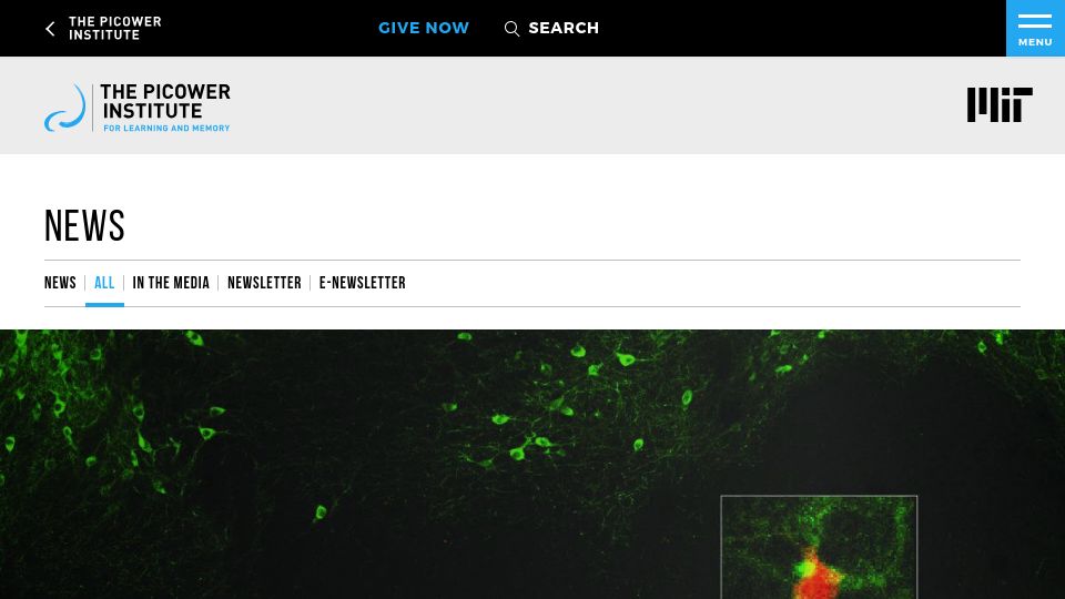 Screenshot of picower.mit.edu: Dopamine signals when a fear can be forgotten