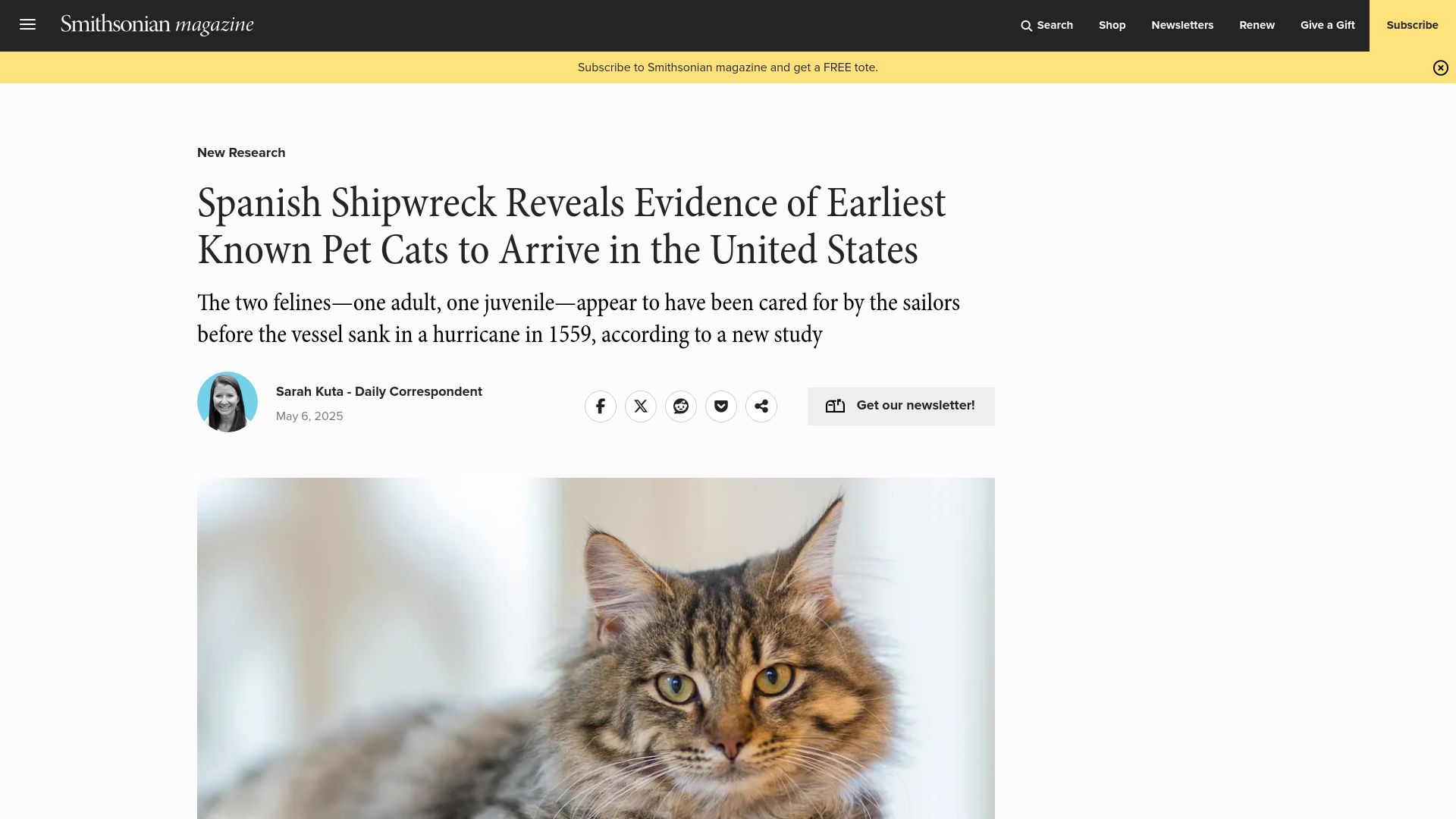 Screenshot of smithsonianmag.com: Spanish Shipwreck Reveals Evidence of Earliest Known Pet Cats to Arrive in US
