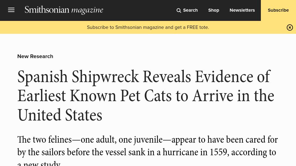 Screenshot of smithsonianmag.com: Spanish Shipwreck Reveals Evidence of Earliest Known Pet Cats to Arrive in US