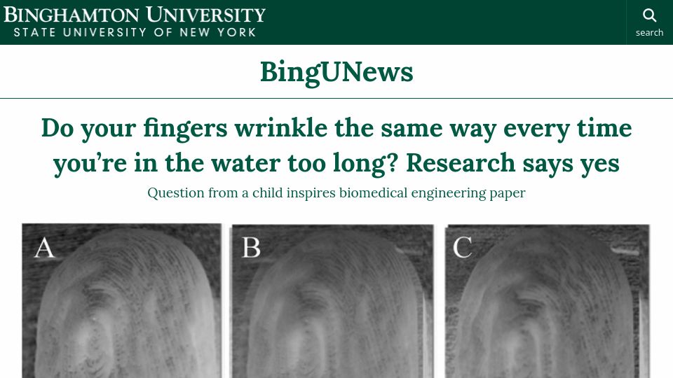 Screenshot of binghamton.edu: Fingers wrinkle the same way every time they’re in the water too long