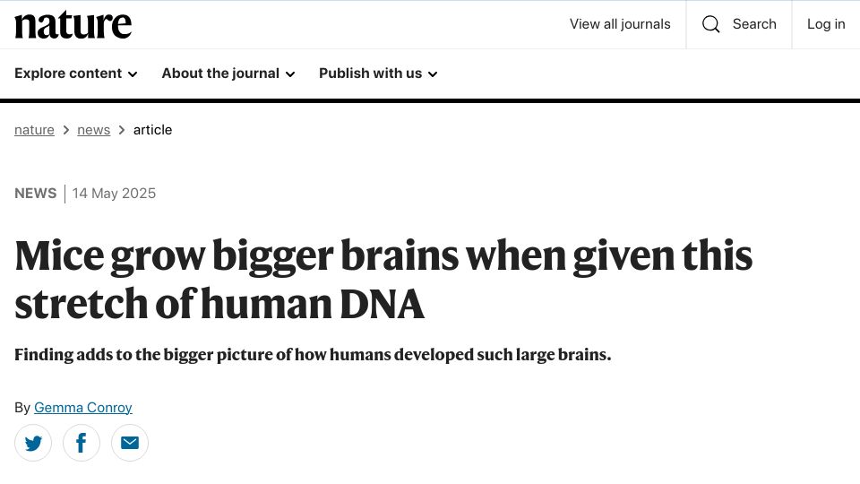 Screenshot of nature.com: Mice grow bigger brains when given this stretch of human DNA