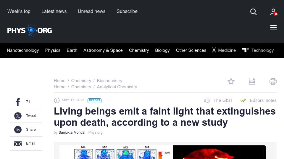 Screenshot of phys.org: Living beings emit a faint light that extinguishes upon death, study