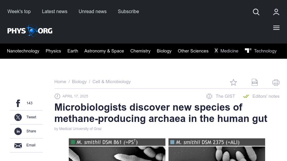 Screenshot of phys.org: New species of methane-producing archaea discovered in the human gut