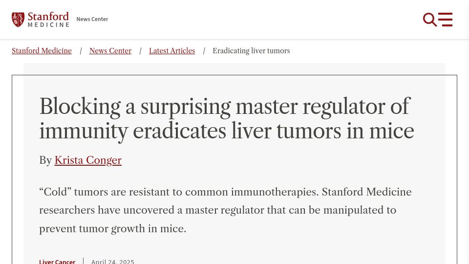 Screenshot of med.stanford.edu: Blocking surprising master regulator of immunity eradicates liver tumors in mice