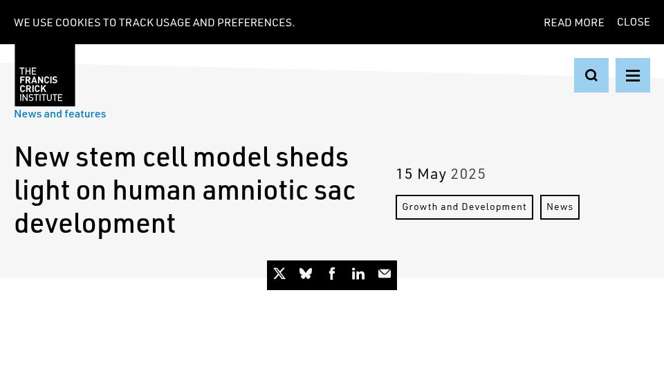 Screenshot of crick.ac.uk: New stem cell model sheds light on human amniotic sac development