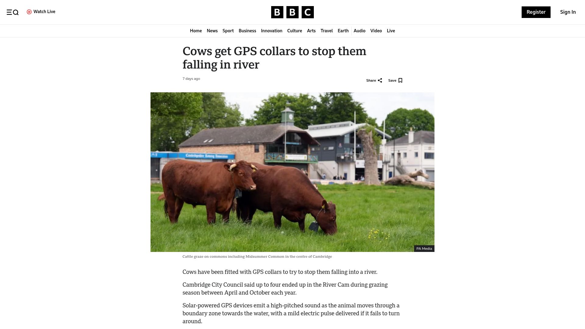 Screenshot of bbc.co.uk: Cows get GPS collars to stop them falling in river