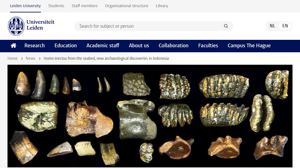 Screenshot of universiteitleiden.nl: Homo erectus from the seabed, new archaeological discoveries in Indonesia