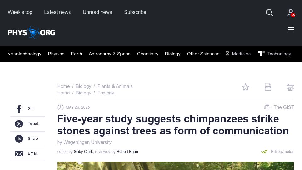 Screenshot of phys.org: Chimps strike stones against trees as communication, study suggests