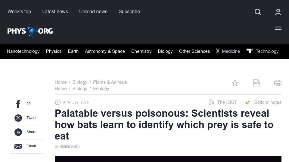 Screenshot of phys.org: PScientists reveal how bats learn to identify which prey is safe to eat