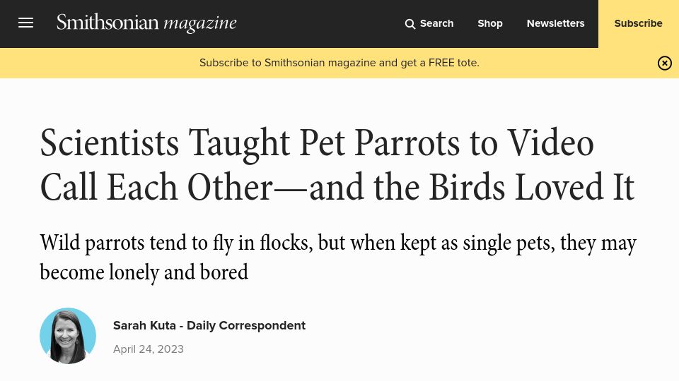 Screenshot of smithsonianmag.com: Design and evaluation of a parrot-to-parrot video-calling system (2023)