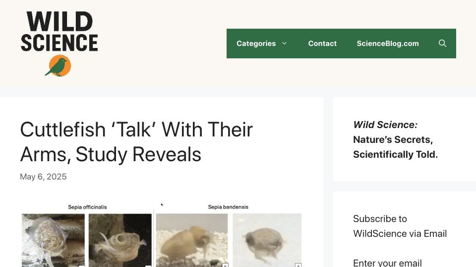 Screenshot of scienceblog.com: Cuttlefish 'talk' with their arms, study reveals