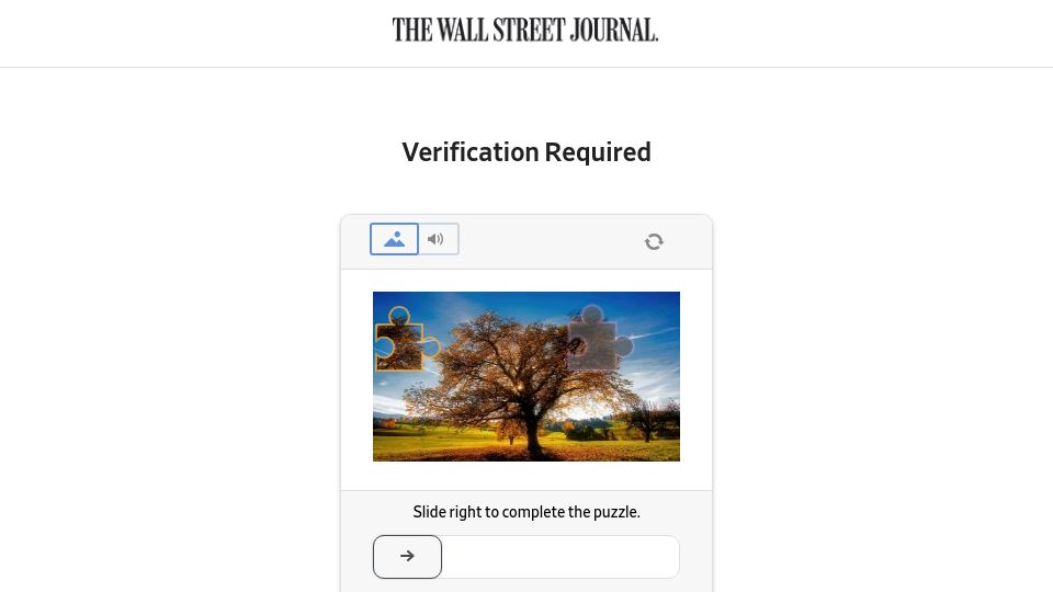 Screenshot of wsj.com: Doctors Warn Accountants of Private-Equity Drain on Quality: You Could Be Next