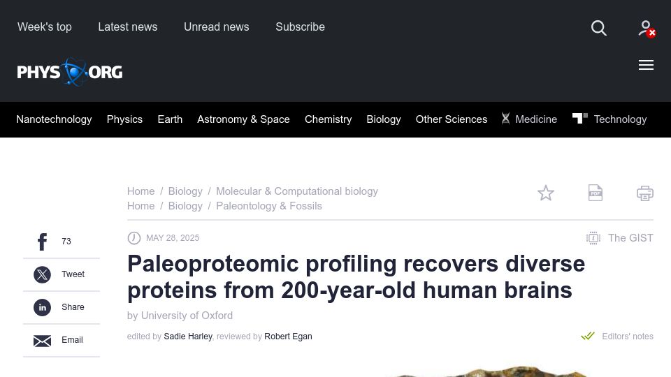 Screenshot of phys.org: Paleoproteomic profiling recovers diverse proteins from 200yo human brains