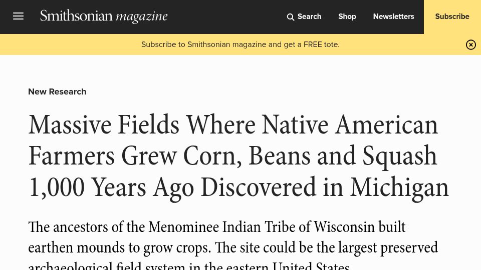Screenshot of smithsonianmag.com: Fields where Native Americans farmed a thousand years ago discovered in Michigan