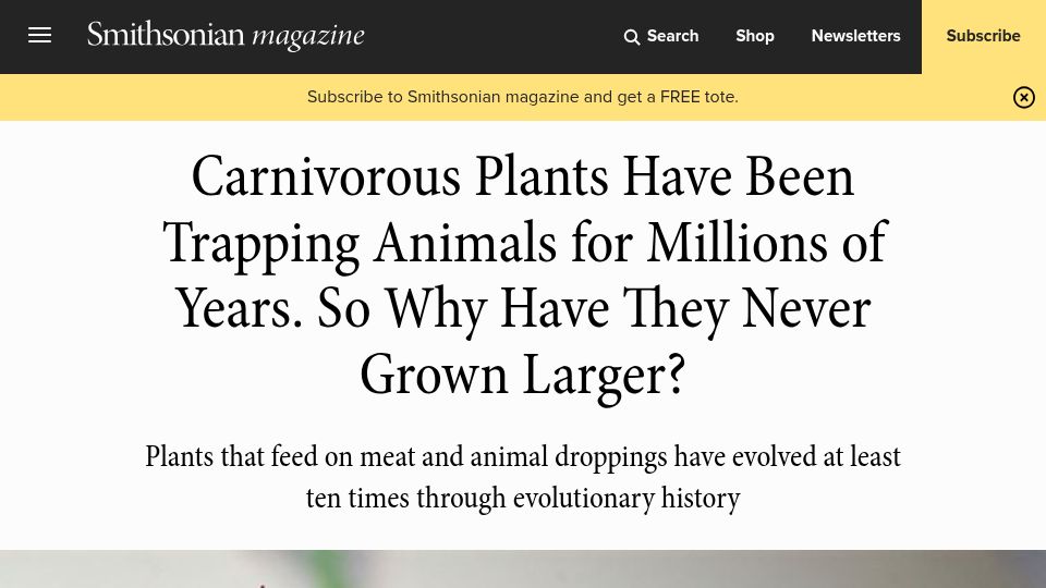 Screenshot of smithsonianmag.com: After millions of years, why are carnivorous plants still so small?