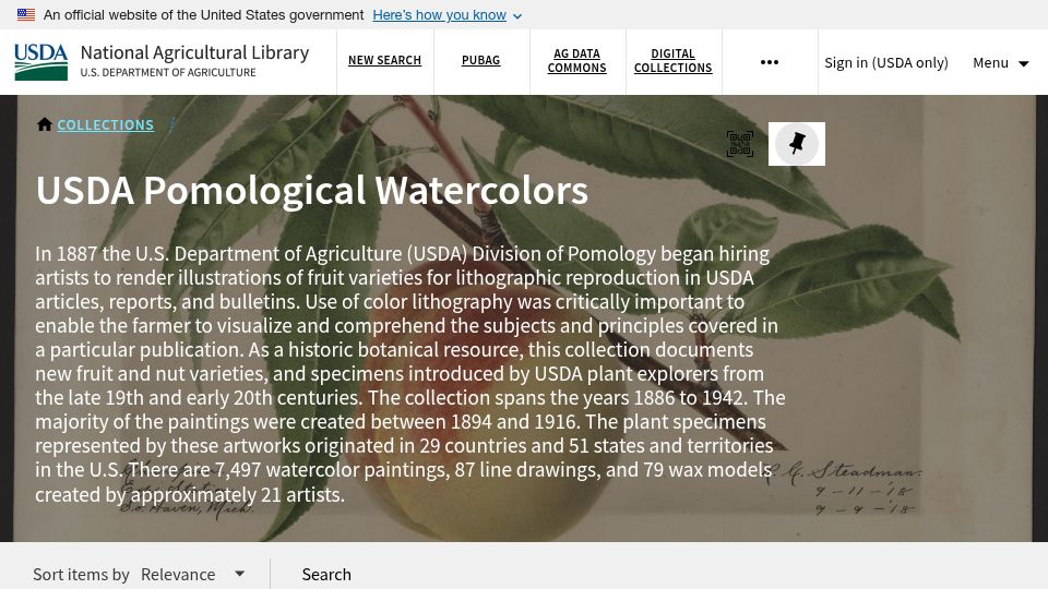 Screenshot of search.nal.usda.gov: USDA Pomological Watercolors