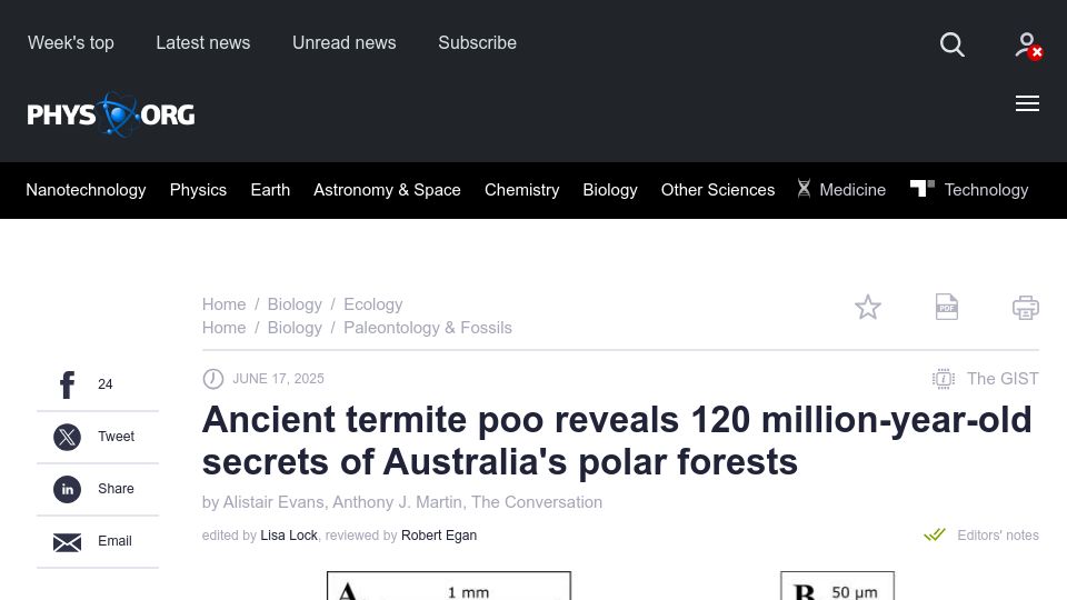 Screenshot of phys.org: Ancient termite poo reveals 120M-year-old secrets of Australia's forests