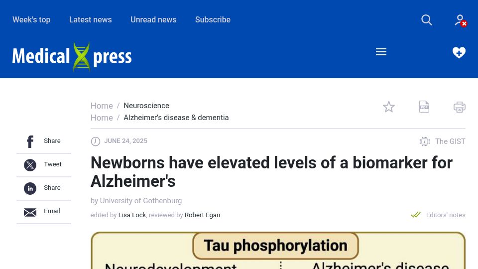Screenshot of medicalxpress.com: Newborns have elevated levels of a biomarker for Alzheimer's