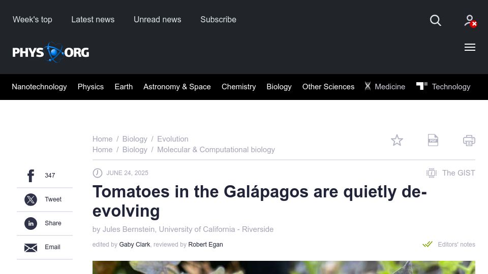 Screenshot of phys.org: Tomatoes in the Galápagos are quietly de-evolving