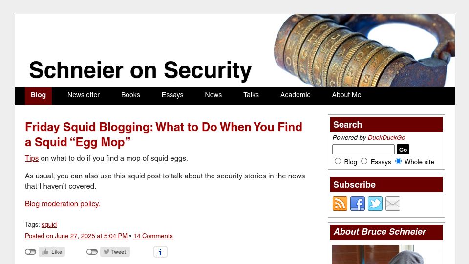 Screenshot of schneier.com: What LLMs Know About Their Users