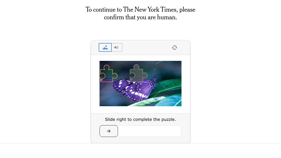Screenshot of nytimes.com: The Book Cover Trend of Text on Old Paintings
