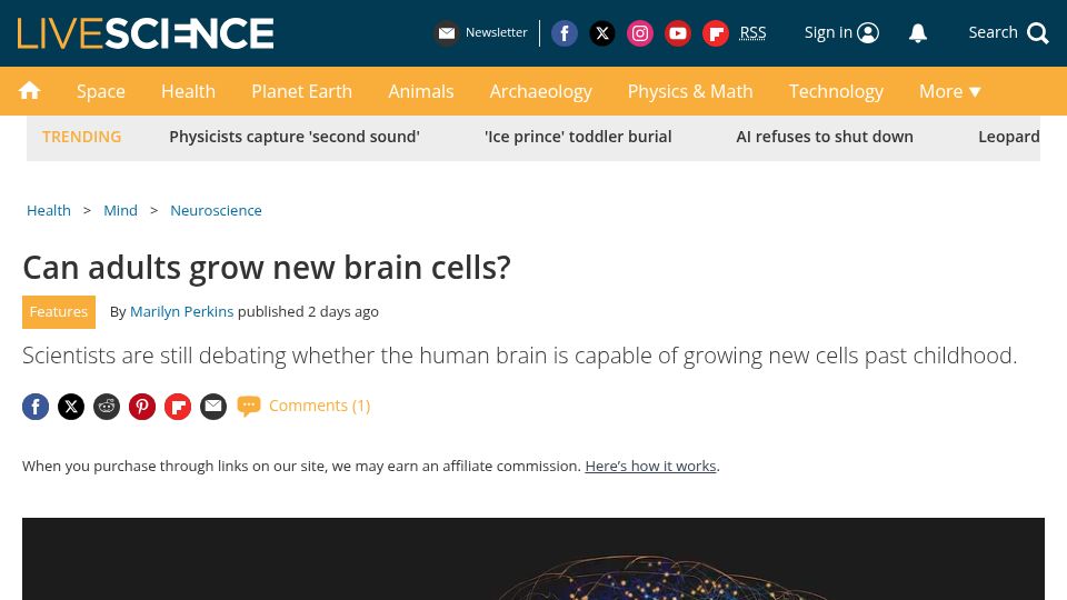 Screenshot of livescience.com: Can adults grow new brain cells?