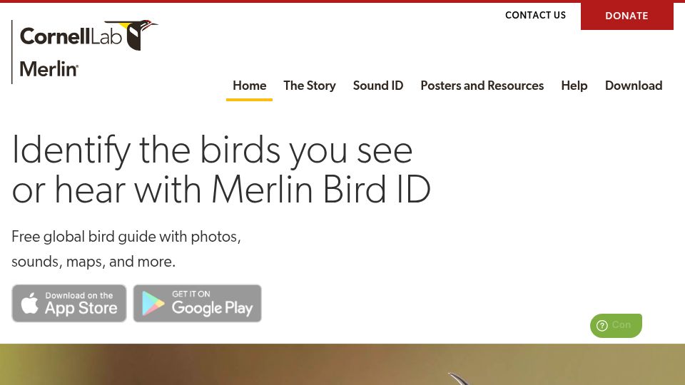 Screenshot of merlin.allaboutbirds.org: Merlin Bird ID