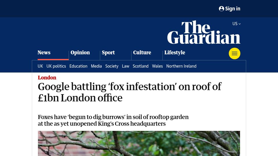 Screenshot of theguardian.com: Google battling 'fox infestation' on roof of £1B London office