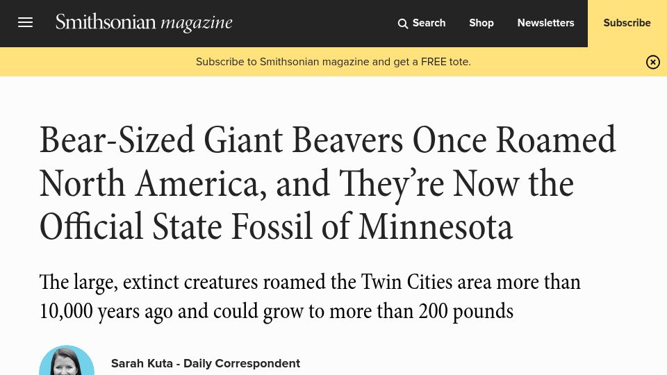 Screenshot of smithsonianmag.com: Bear-Sized Giant Beavers Once Roamed North America