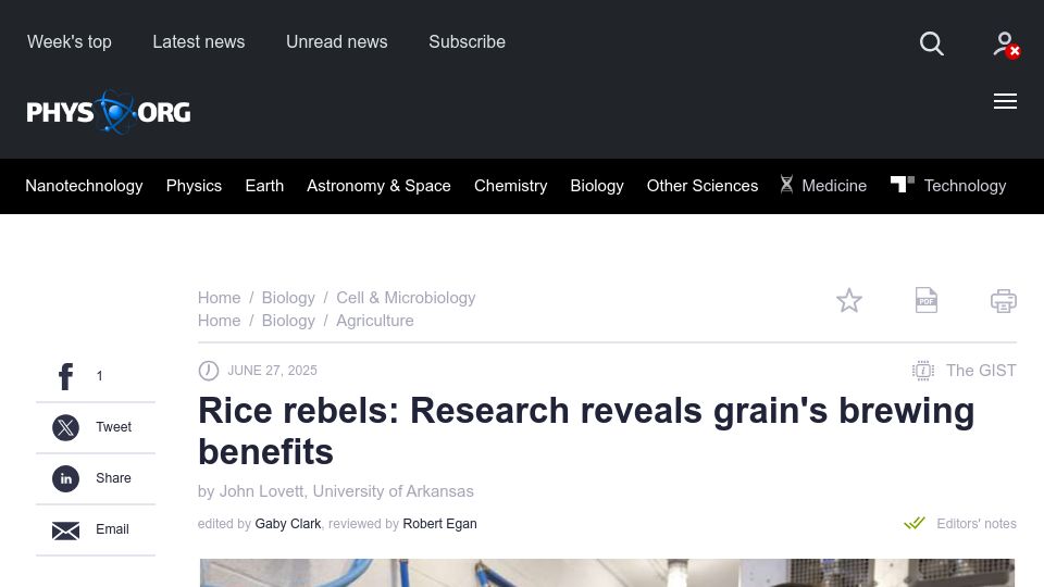 Screenshot of phys.org: Rice rebels: Research reveals grain's brewing benefits