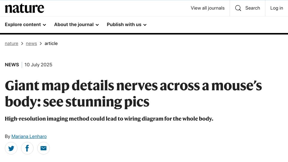 Screenshot of nature.com: High-resolution imaging method details nerves across a mouse’s body