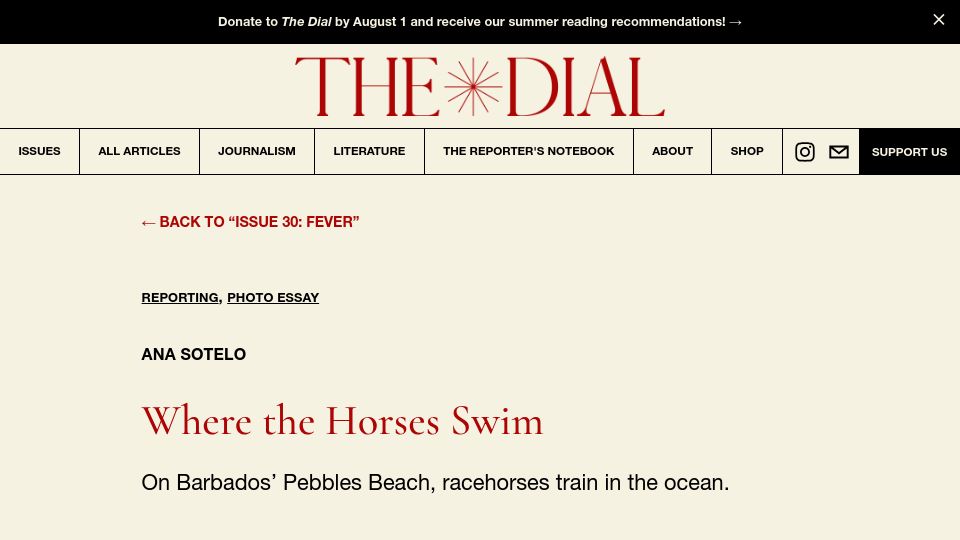 Screenshot of thedial.world: Where the Horses Swim: On Barbados' Pebbles Beach, Racehorses Train in the Ocean