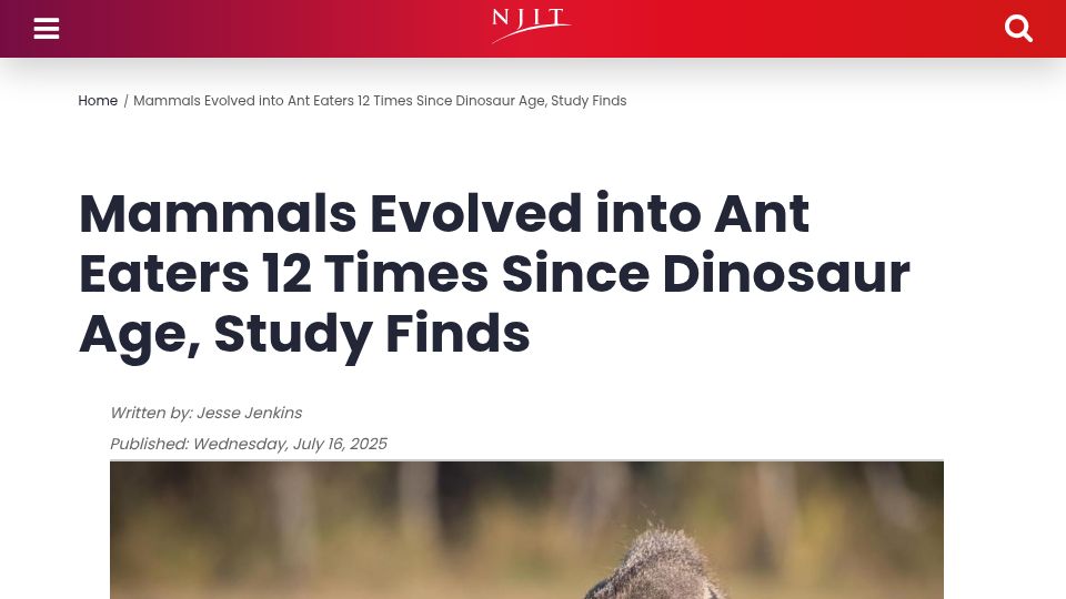 Screenshot of news.njit.edu: Mammals Evolved into Ant Eaters 12 Times Since Dinosaur Age, Study Finds