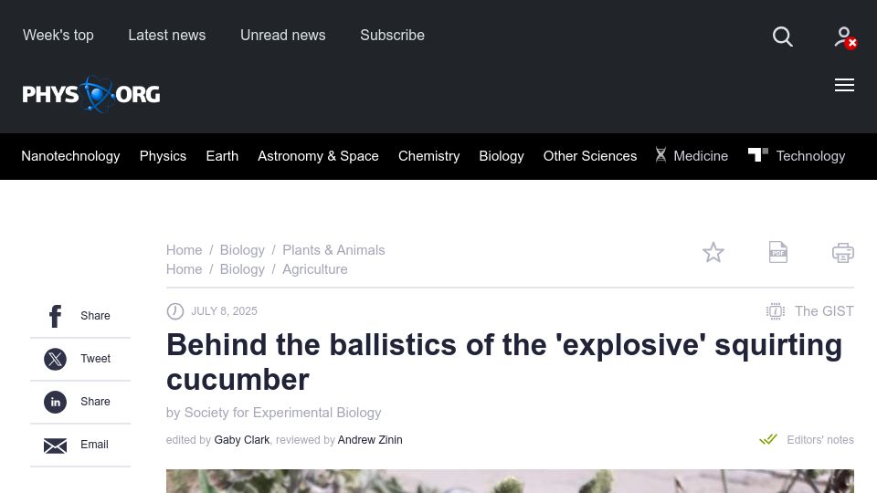 Screenshot of phys.org: Behind the ballistics of the 'explosive' squirting cucumber