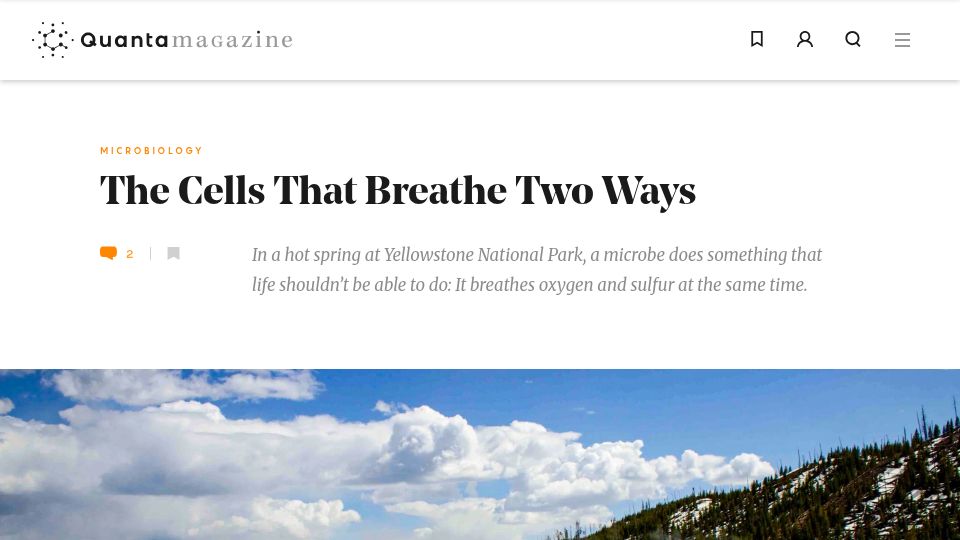 Screenshot of quantamagazine.org: Cells that breathe oxygen and sulfur at the same time