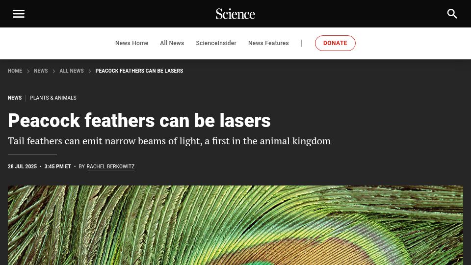 Screenshot of science.org: Peacock feathers can be lasers