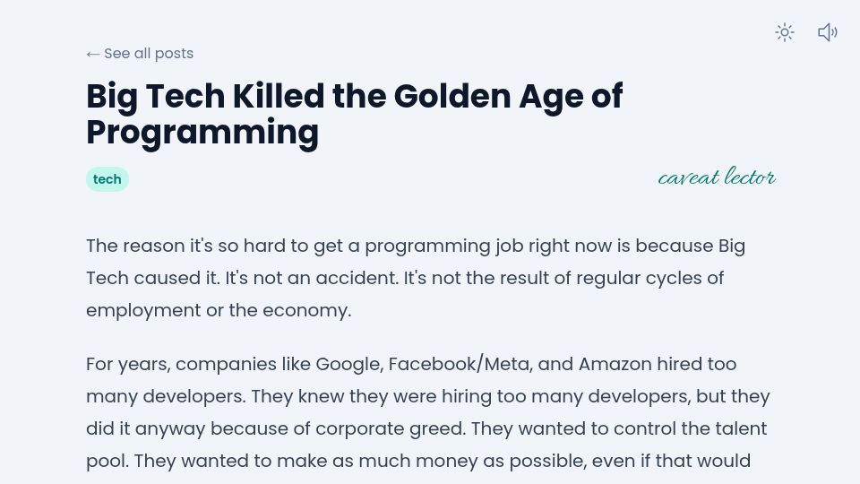 Screenshot of taylor.gl: Big Tech Killed the Golden Age of Programming
